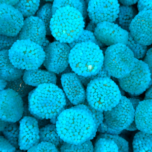 Blue Spogs